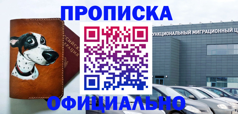 временная прописка в Куртамыше